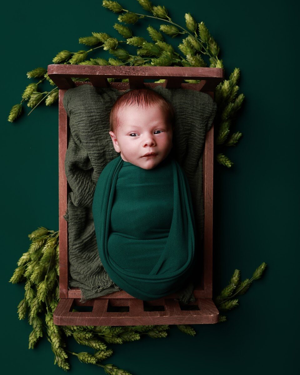 Newborn session